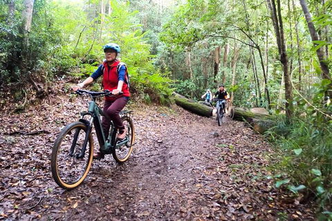 Guided E Bike Tour - Unicorn Falls & National Park - Accommodation Redcliffe 9