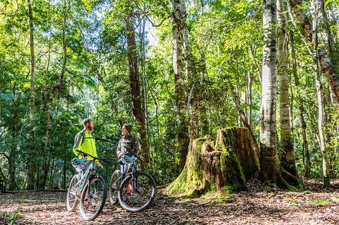 Guided E Bike Tour - Unicorn Falls & National Park - Accommodation Redcliffe 14