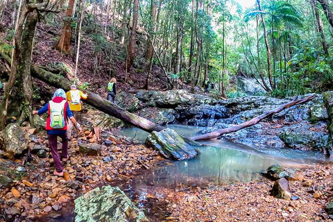 Guided E Bike Tour - Unicorn Falls & National Park - Accommodation Redcliffe 17