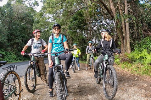 Guided E Bike Tour - Unicorn Falls & National Park - Accommodation Redcliffe 11