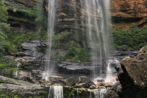 Private 10-hour Tour To Blue Mountains From Sydney - Hotel Pick Up & Drop Off - Accommodation Redcliffe 3