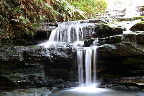 Private 10-hour Tour To Blue Mountains From Sydney - Hotel Pick Up & Drop Off - Accommodation Redcliffe 6