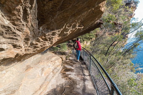 Blue Mountains Highlights & Wildlife Park - Accommodation Redcliffe 0