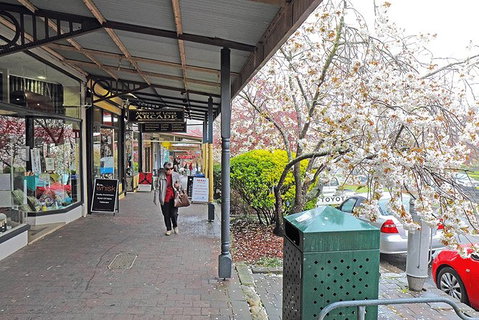 Blue Mountains Highlights & Wildlife Park - Accommodation Redcliffe 2