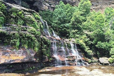 Blue Mountains Highlights & Wildlife Park - Accommodation Redcliffe 8