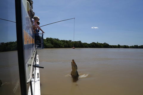 Darwin City Sights And Jumping Crocodile Cruise - Accommodation Redcliffe 2