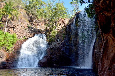 Ethical Adventures - Pure Litchfield - Accommodation Redcliffe 2