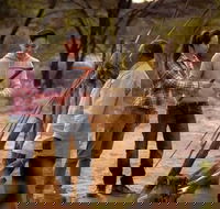 Karrke Aboriginal Cultural Experience - Accommodation Redcliffe