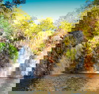 Litchfield National Park Waterfalls Day Trip From Darwin Including Termite Mounds and Lunch - Accommodation Redcliffe