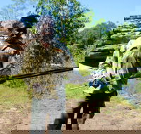 Kakadu  Arnhem Land tour Camping tour - Accommodation Redcliffe