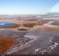 Helicopter Scenic Lizard Safari - Accommodation Redcliffe