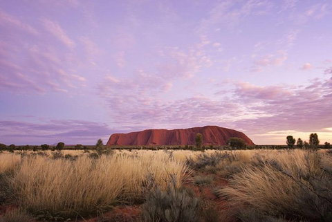 Explore Uluru: 7 Hours Guide Tour At Sunrise With Light Breakfast - Accommodation Redcliffe 4