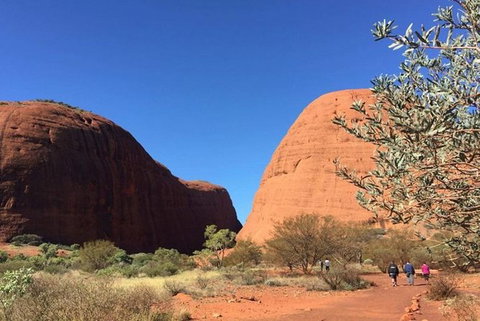 5-Hour Kata Tjuta Sunrise Tour From Ayers Rock With Breakfast - Accommodation Redcliffe 2