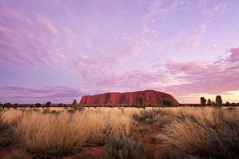 Sunset Australian Barbecue Dinner In Uluru - Accommodation Redcliffe 0