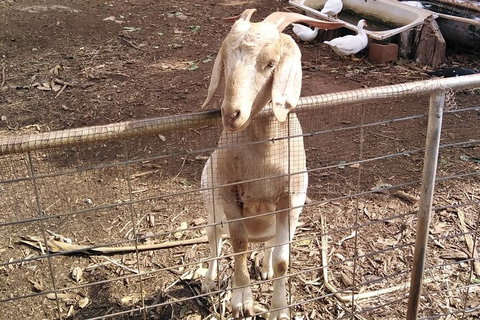 Full-Day Private Guided Tour To Litchfield National Park - Accommodation Redcliffe 10