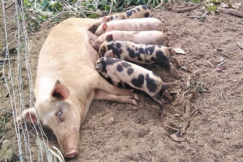 Full-Day Private Guided Tour To Litchfield National Park - Accommodation Redcliffe 2