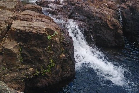 Full-Day Private Guided Tour To Litchfield National Park - Accommodation Redcliffe 8