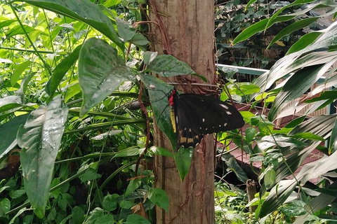 Full-Day Private Guided Tour To Litchfield National Park - Accommodation Redcliffe 1