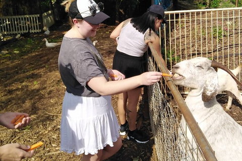 Full-Day Private Guided Tour To Litchfield National Park - Accommodation Redcliffe 4