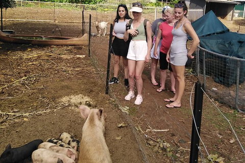 Full-Day Private Guided Tour To Litchfield National Park - Accommodation Redcliffe 13