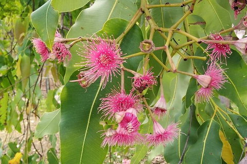 Full-Day Private Guided Tour To Litchfield National Park - Accommodation Redcliffe 5