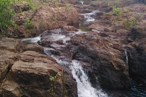 Full-Day Private Guided Tour To Litchfield National Park - Accommodation Redcliffe 15