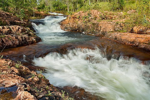 Full-Day Private Guided Tour To Litchfield National Park - Accommodation Redcliffe 3