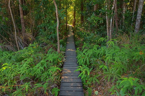 Full-Day Private Guided Tour To Litchfield National Park - Accommodation Redcliffe 7