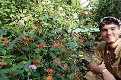 Full-Day Private Guided Tour To Litchfield National Park - Accommodation Redcliffe 17