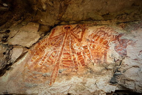 Arnhem Land Injalak Hill Full-Day Tour From Darwin - Accommodation Redcliffe 1