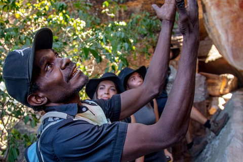 Arnhem Land Injalak Hill Full-Day Tour From Darwin - Accommodation Redcliffe 0