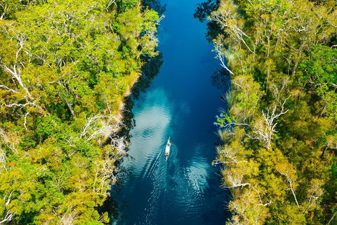 Cruise \'n\' Canoe To Australia\'s Everglades - Accommodation Redcliffe 1