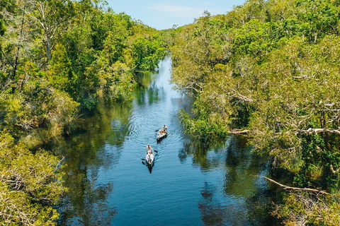 Cruise \'n\' Canoe To Australia\'s Everglades - Accommodation Redcliffe 0