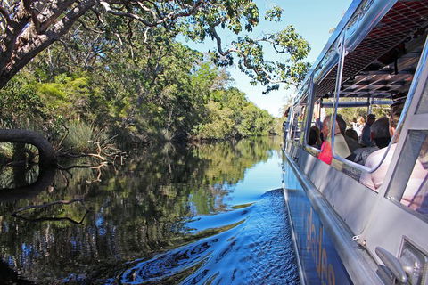 Cruise \'n\' Canoe To Australia\'s Everglades - Accommodation Redcliffe 6