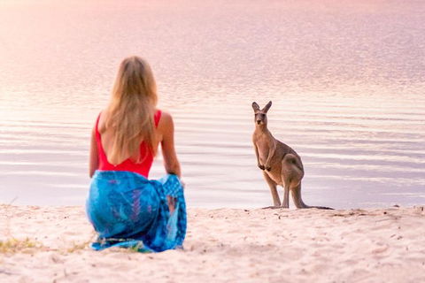 Cruise \'n\' Canoe To Australia\'s Everglades - Accommodation Redcliffe 2