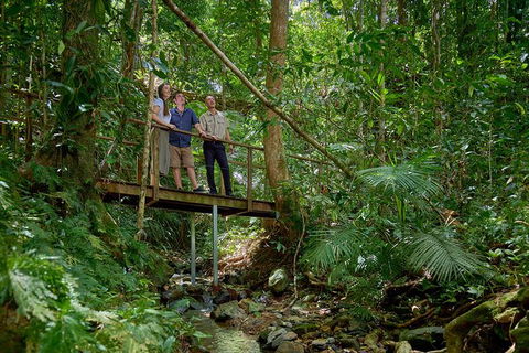 Daintree And Cape Tribulation Tour From Cairns - Accommodation Redcliffe 3
