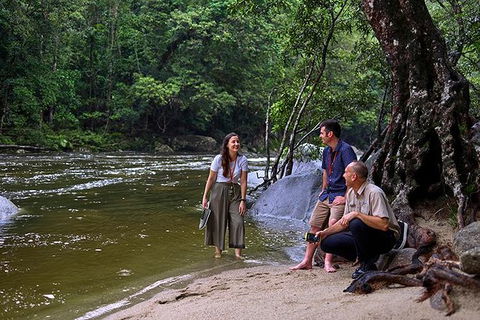 Daintree And Cape Tribulation Tour From Cairns - Accommodation Redcliffe 2