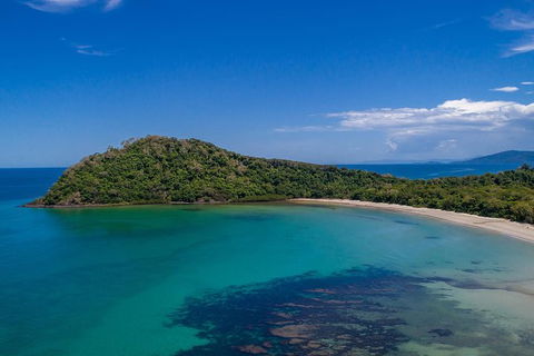 Daintree And Cape Tribulation Tour From Cairns - Accommodation Redcliffe 7