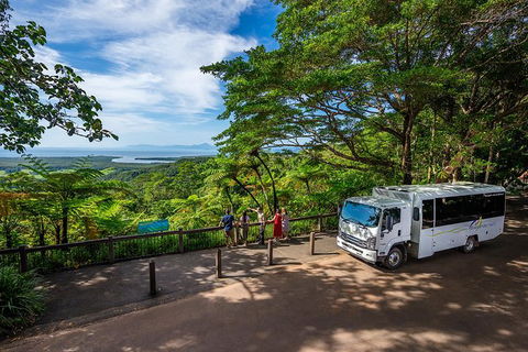 Daintree And Cape Tribulation Tour From Cairns - Accommodation Redcliffe 5