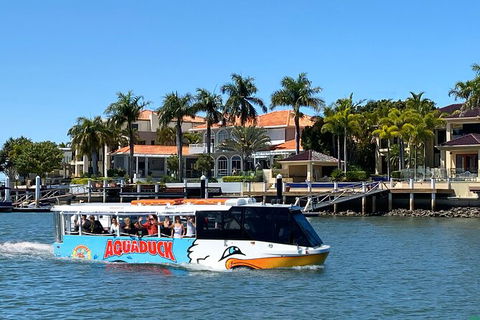 Aquaduck Sunshine Coast - Accommodation Redcliffe 0