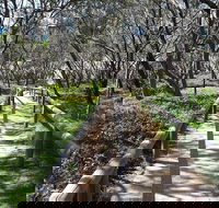 Self-guided Coast Walks - Noosa To Sydney 6 Days  Dep 25 Sep 2019 24 Sep 2020 - Accommodation Redcliffe