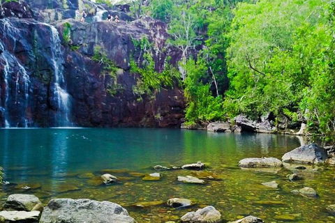 Reef, Wildlife & Rainforest - Reef & Beyond Guided Holidays - Accommodation Redcliffe 0