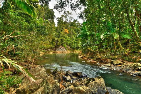 Reef, Wildlife & Rainforest - Reef & Beyond Guided Holidays - Accommodation Redcliffe 3