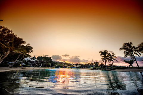 Reef, Wildlife & Rainforest - Reef & Beyond Guided Holidays - Accommodation Redcliffe 6