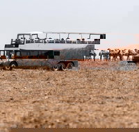 Nogo Station Experience - Accommodation Redcliffe