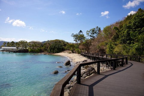 Rainforest To Reef Experience - Reef And Beyond Guided Holidays - Accommodation Redcliffe 4