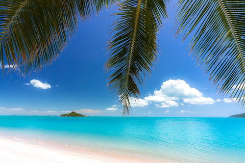 Rainforest To Reef Experience - Reef And Beyond Guided Holidays - Accommodation Redcliffe 1