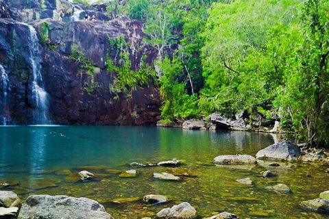 Rainforest To Reef Experience - Reef And Beyond Guided Holidays - Accommodation Redcliffe 5