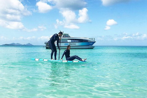 Rainforest To Reef Experience - Reef And Beyond Guided Holidays - Accommodation Redcliffe 3