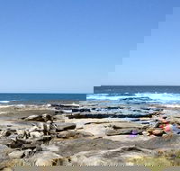 Sunshine Coast Rocky Shore Educational Eco Tour - Accommodation Redcliffe